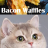 Waffles Cheese Bacon