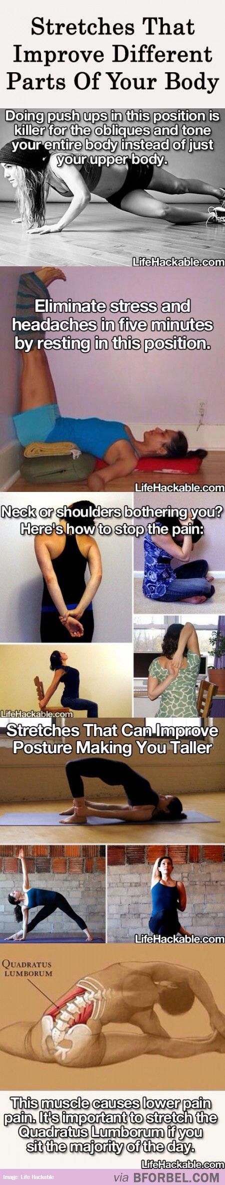 Stretches for Your Body