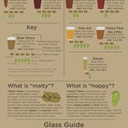 How to Be a Beer Expert