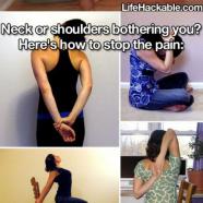 Stretches for Your Body