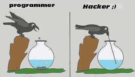 Programmer vs. Hacker