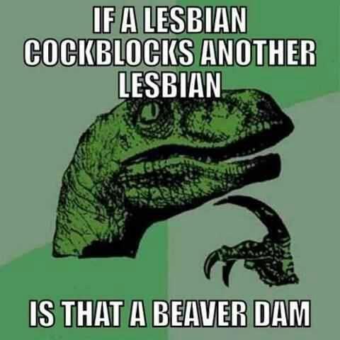 Cock Block Lesbian - Beaver Dam