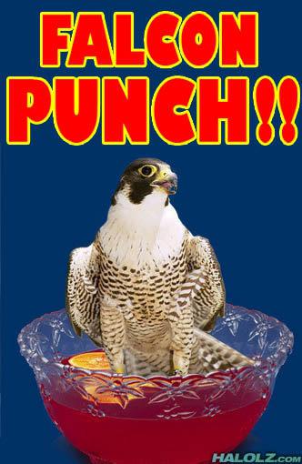 Falcon Fruit Punch