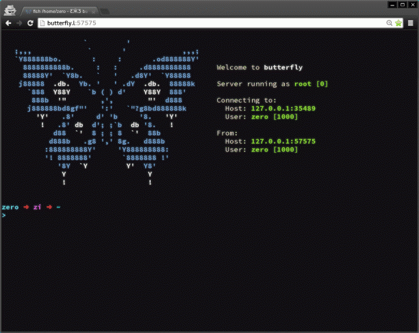 Terminal in the Browser