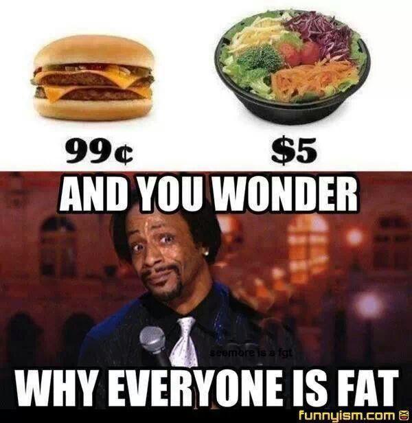 Wonder Why Everyone Fat