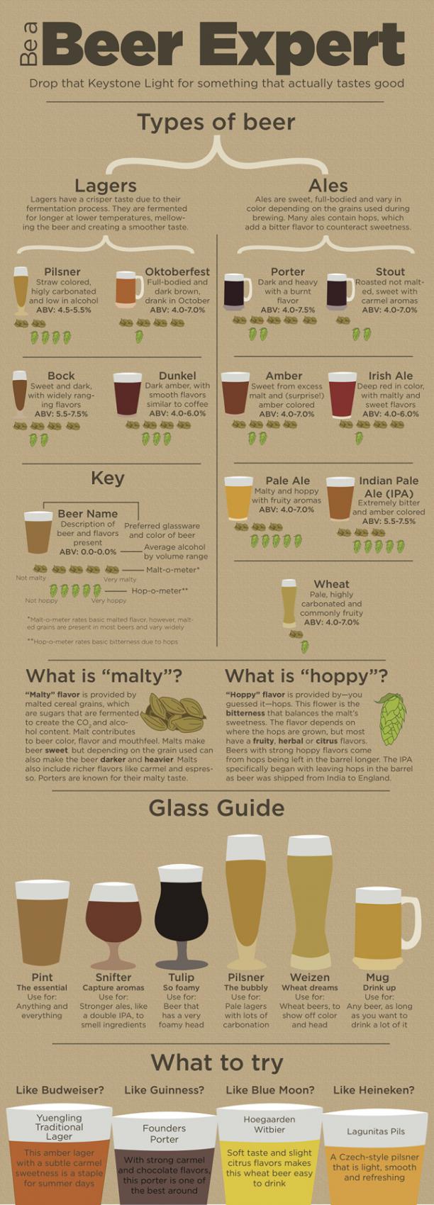 How to Be a Beer Expert