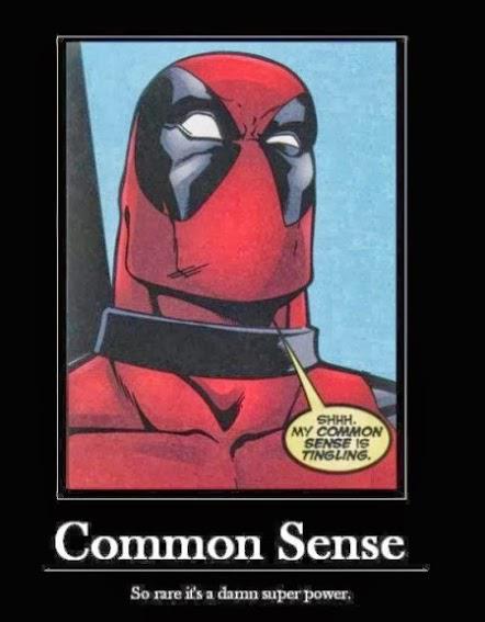 Common Sense Hero