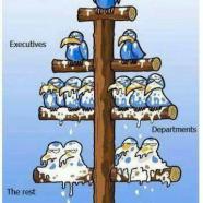 Business Hierarchy Flow Chart