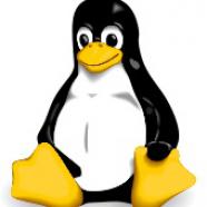 Tux the Linux God